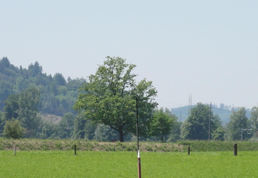 DSC00782