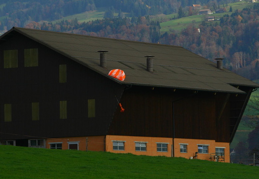 IMG 9498