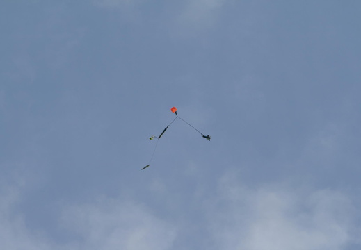 IMG 9504