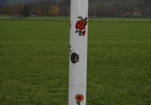 IMG 4508