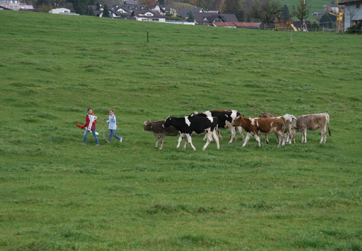 IMG 4548