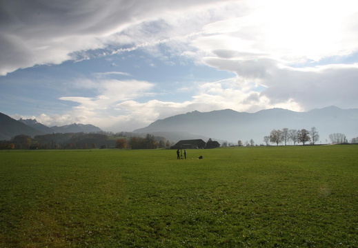 IMG 4598
