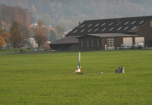 IMG 4946