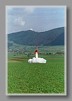 0268_81.jpg (71.3 KB)