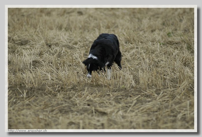 DSC_2517.JPG