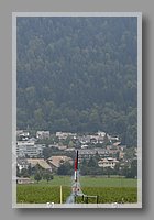 DSC_2546.JPG (50.1 KB)