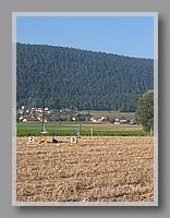 IMG_5080.JPG (100 KB)