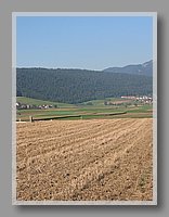IMG_5107.JPG (92.0 KB)