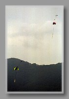 J190904-30cc.jpg (59.0 KB)