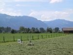IMG_1677.JPG