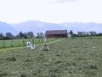 IMG_1679.JPG