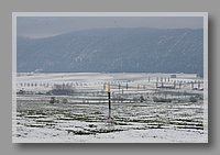 IMG_1316.JPG (63.9 KB)