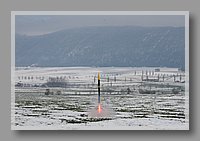 IMG_1318.JPG (62.6 KB)