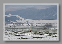 IMG_1363.JPG (69.0 KB)