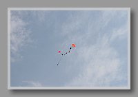 IMG_1554.JPG (25.2 KB)