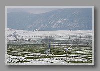 IMG_1764.JPG (73.3 KB)