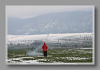 IMG_1866.JPG (60.6 KB)