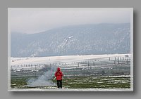 IMG_1867.JPG (52.3 KB)
