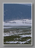 HPIM2234.jpg (66.8 KB)