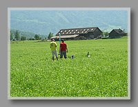 DSCN3187.jpg (107 KB)
