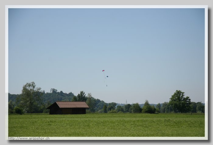 IMG_2865.jpg