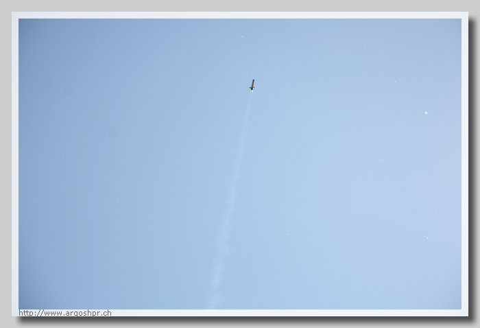 IMG_2896.jpg