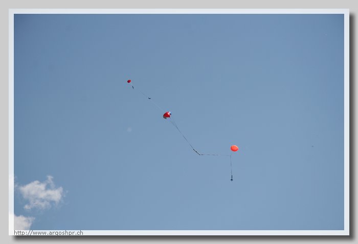 IMG_2987.jpg