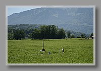 IMG_2695.jpg (73.5 KB)