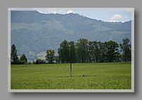 IMG_2802.jpg (68.1 KB)
