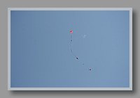 IMG_2969.jpg (18.6 KB)
