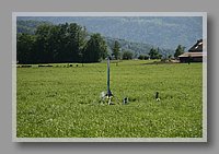 IMG_3003.jpg (87.4 KB)