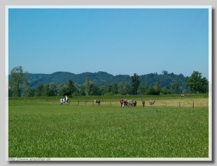 HPIM0815.JPG