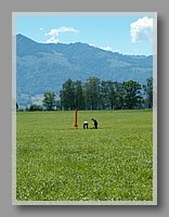 HPIM0839.JPG (91.5 KB)