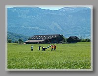 HPIM0846.JPG (84.3 KB)