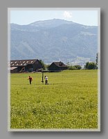 HPIM0875.JPG (87.0 KB)