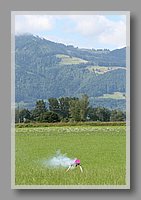IMG_6301.JPG (64.9 KB)