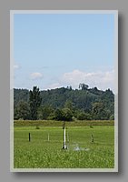 IMG_6565.JPG (50.5 KB)