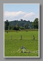IMG_6969.JPG (63.0 KB)