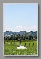 IMG_7167.jpg (51.3 KB)