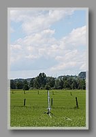 IMG_7217.jpg (51.6 KB)