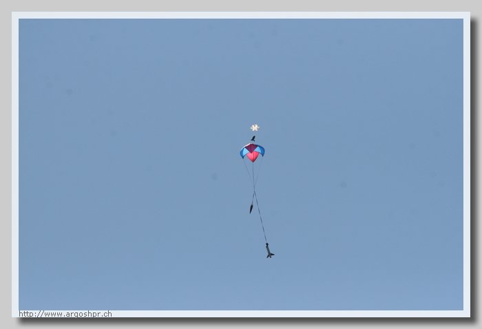 IMG_09647.jpg