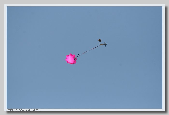 IMG_09658.jpg