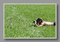 IMG_09519.jpg (117 KB)