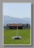 IMG_09565.jpg (53.7 KB)
