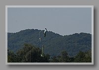 IMG_09576.jpg (35.4 KB)