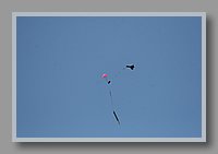 IMG_09594.jpg (19.5 KB)