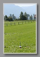 IMG_09639.jpg (82.7 KB)
