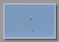 IMG_09647.jpg (19.4 KB)