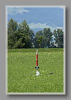 IMG_2682.JPG (78.7 KB)