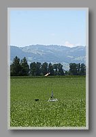 IMG_2884.JPG (63.9 KB)